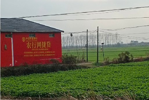 织金如何防止墙体广告褪色呢？